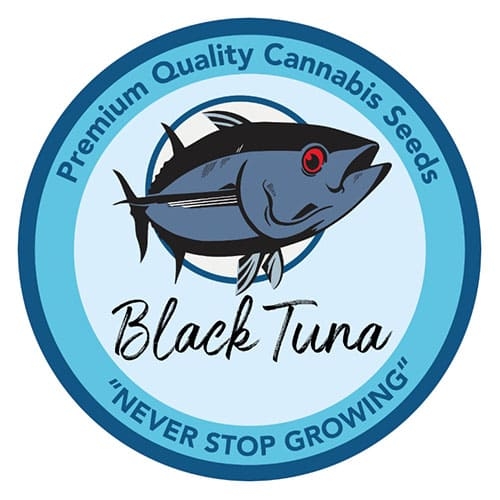 Black Tuna Seeds logo