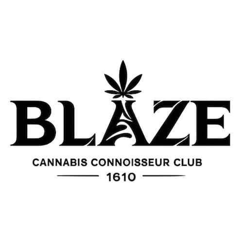 Blaze logo
