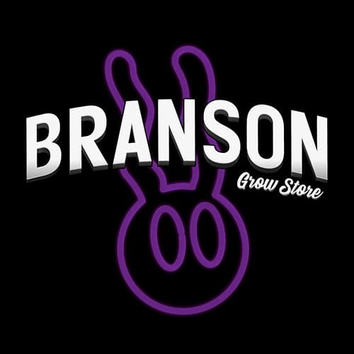 Branson logo