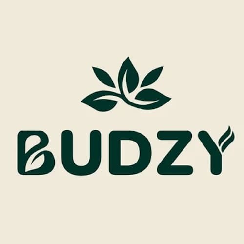 Budzy logo