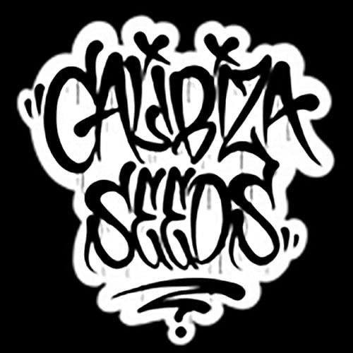 Calibiza Seeds logo