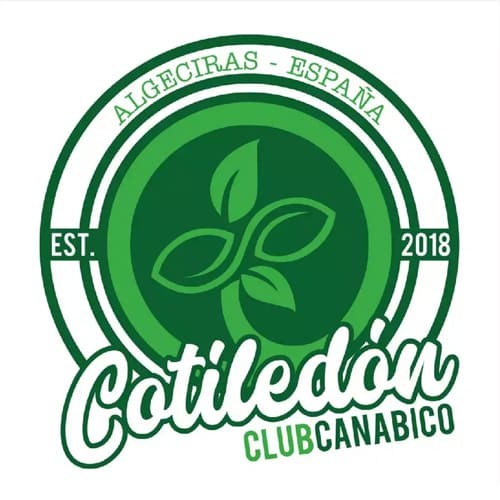 Club Cotiledón logo