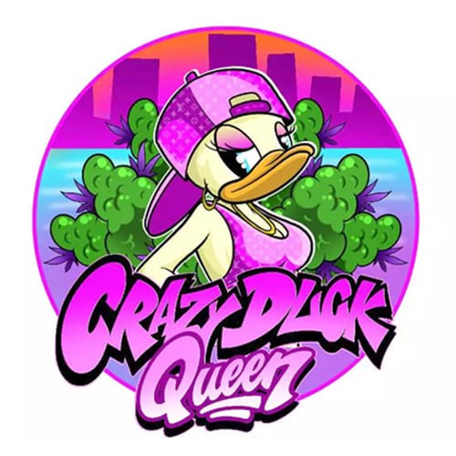 Crazy Duck Queen logo