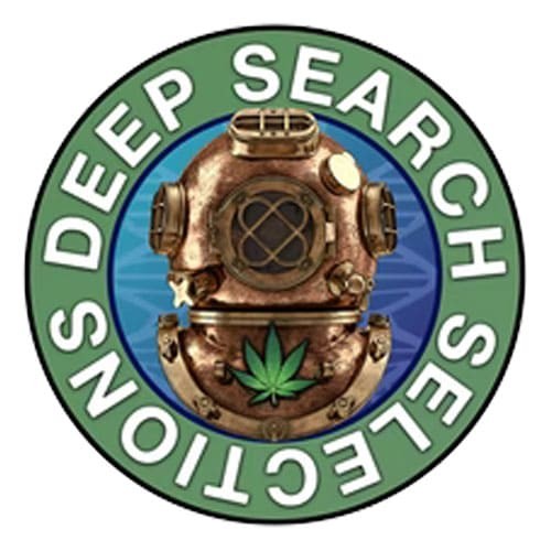 Deep Search Selections logo