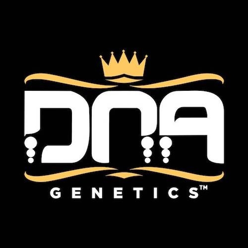 DNA Genetics logo