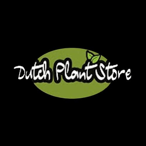 Dutch Plant Store logo