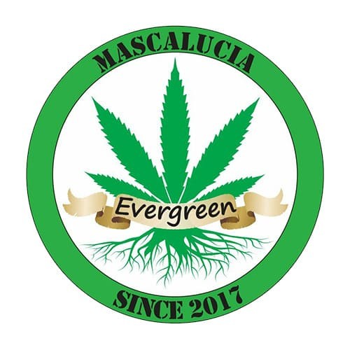Evergreen logo