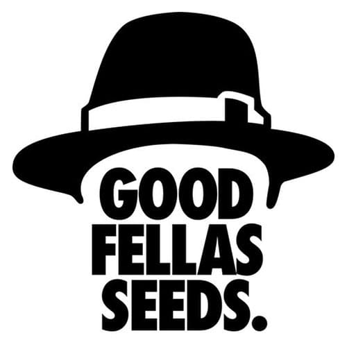 Goodfellas Seeds logo