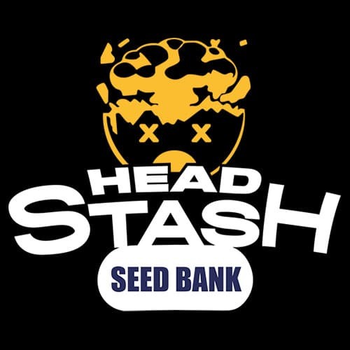 Head Stash Seed Bank logo