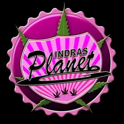 Indra’s Planet logo