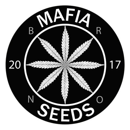 Mafia Seeds logo