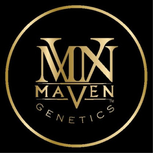 Maven Genetics logo