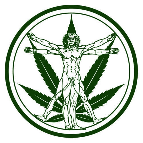 Medi Hemp logo
