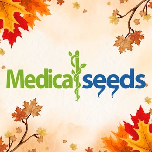 Medical Seeds logo