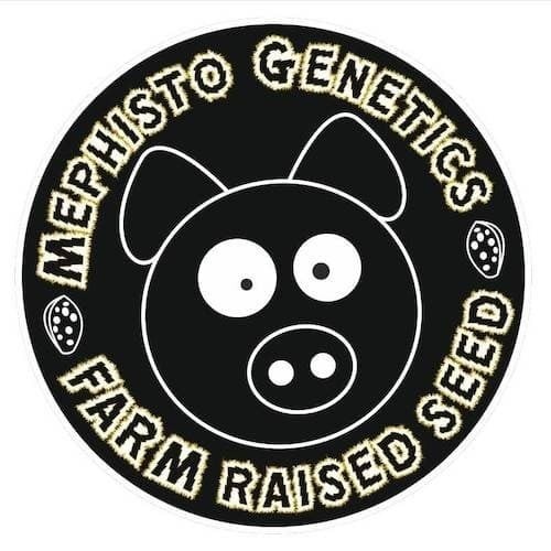 Mephisto Genetics logo