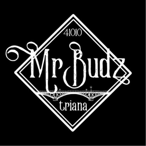 Mr Budz logo