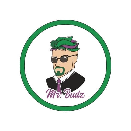 Mr Budz logo