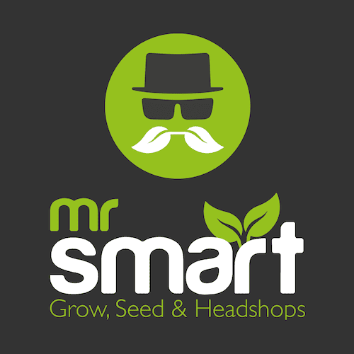 Mr. Smart (Klagenfurt) logo