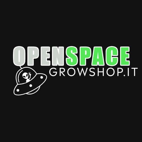Open Space logo
