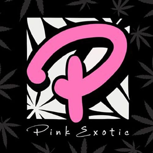 Pink Exotic logo