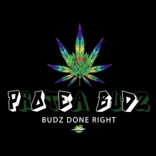 Protea Budz logo