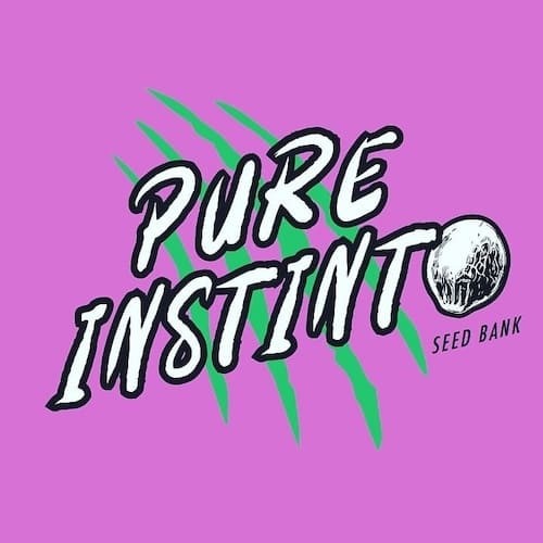 Pure Instinto logo