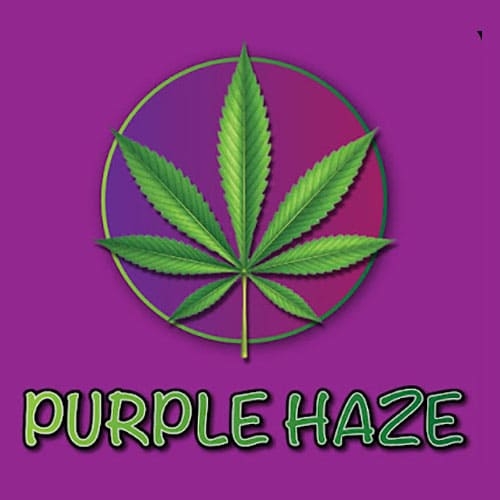 Purple Haze logo