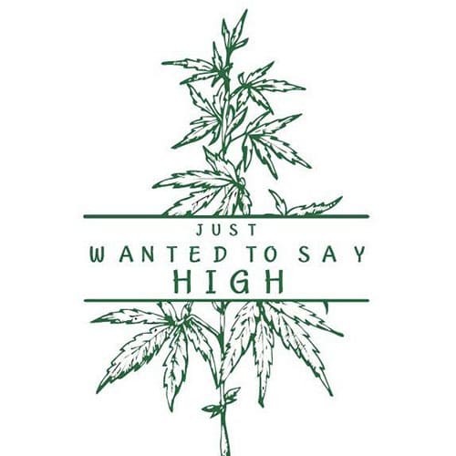 Sayhigh logo