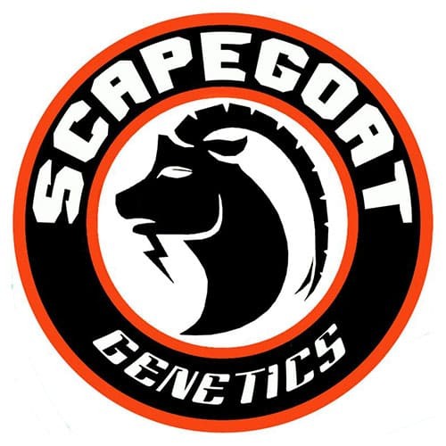 Scapegoat Genetics logo