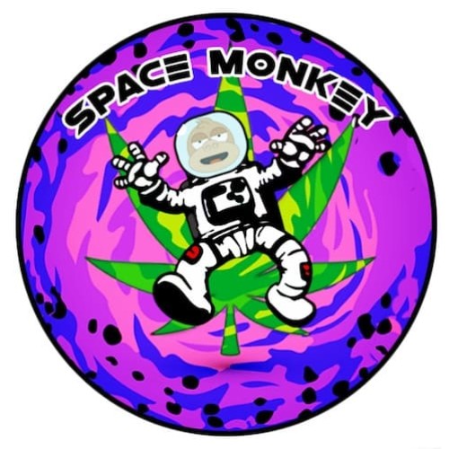 Space Monkey logo