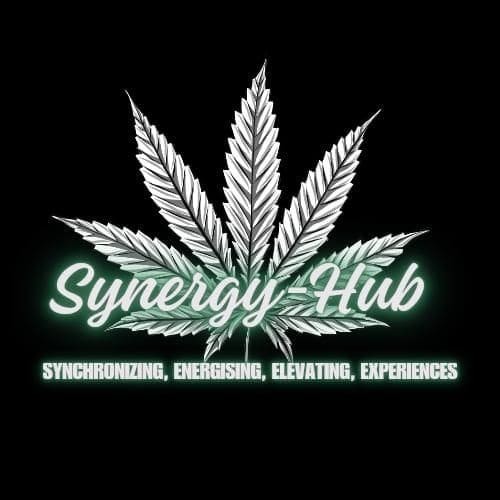 Synergy-Hub logo