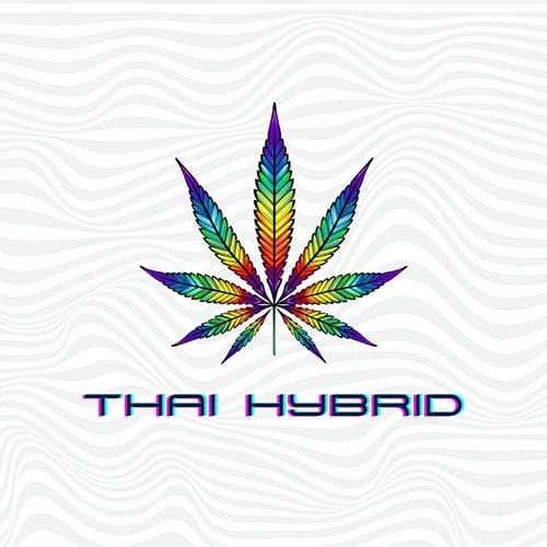 Thai Hybrid logo