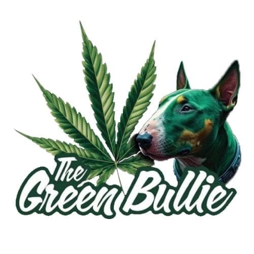 The Green Bullie (Shelly Beach) logo