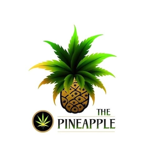 The Pineapple logo