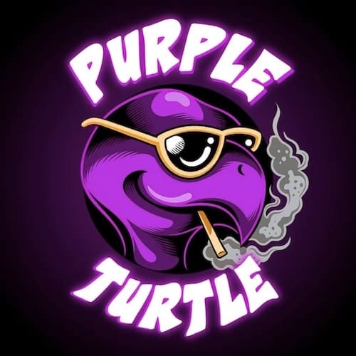 The Purple Turtle logo