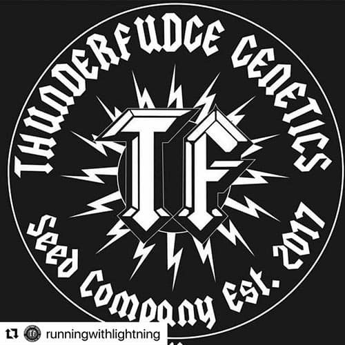 Thunderfudge Genetics logo
